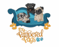 My Pamerepd Pugs